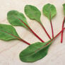 Ruby Fresh, (F1) Swiss Chard Seeds - 25,000 Seeds thumbnail number null